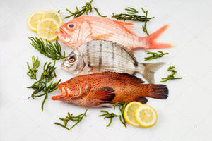 گوارگام در غذای ماهی ها