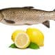 اثر استفاده از مکمل اسید سیتریک در رشد کپور ماهی‌ها 